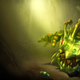 Illustration for article titled Massive Bug Forces Riot To Disable All iLeague Of Legends /iRanked Games